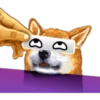 Dog Expressions 17