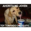 AHORITA NO JOVEN
PSI
TOY TOMANDO CHESQUITO...