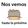 八