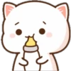 Mochis cat 2 16