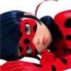Ladybug-Miraculous(Rose) 18