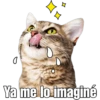 Gatitos. 20
