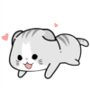 Mochi & cats 😻 20