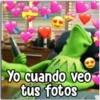 KERMIT [LA RANA RENÉ] 18