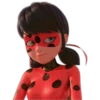 Ladybug-Miraculous(Rose) 19