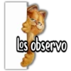 Los observo