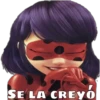 Lady Bug 19