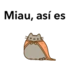 Pusheen texto 15