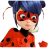 Ladybug-Miraculous(Rose) 21