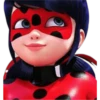 Ladybug-Miraculous(Rose) 22