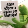 KERMIT [LA RANA RENÉ] 22