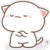 Mochis cat 2 21