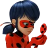 Ladybug-Miraculous(Rose) 23