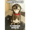 AHORITA SI JOVEN
YA TERMINE MI
QUEHACER!
memes.com