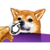 Dog Expressions 21