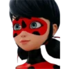 Ladybug-Miraculous(Rose) 24