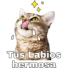 Gatitos. 23