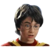 Harry potter memes 20