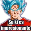 Su ki es
impresionante
TROXX