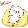 hello~