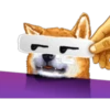 Dog Expressions 22