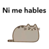 Pusheen texto 20