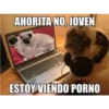 AHORITA NO, JOVEN
ESTOY VIENDO PORNO