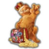 》Garfield 《 13