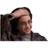 Harry potter memes 22