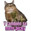 V también se
mete picky