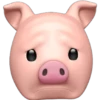 Pig memoji 13