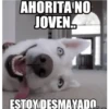Ahorita No Joven #1 25