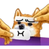 Dog Expressions 24