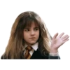 Harry potter memes 24