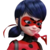 Ladybug-Miraculous(Rose) 25