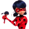 Ladybug-Miraculous(Rose) 26