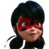 Ladybug-Miraculous(Rose) 27