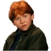 Harry potter memes 25