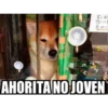 笑ンカー
Test
AHORITA NO JOVEN