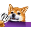Dog Expressions 25