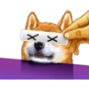 Dog Expressions 26