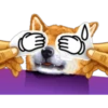 Dog Expressions 27