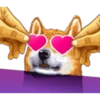 Dog Expressions 28