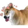 Perritos con corazones 26