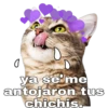 Gatitos. 25