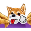 Dog Expressions 29