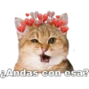 Gatitos. 27