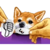 Dog Expressions 30