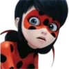 Ladybug-Miraculous(Rose) 28
