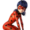 Ladybug-Miraculous(Rose) 29